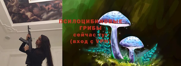 каннабис Арсеньев