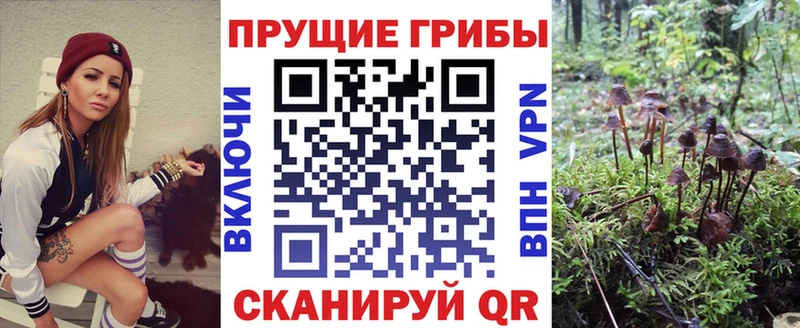 Псилоцибиновые грибы GOLDEN TEACHER Елабуга